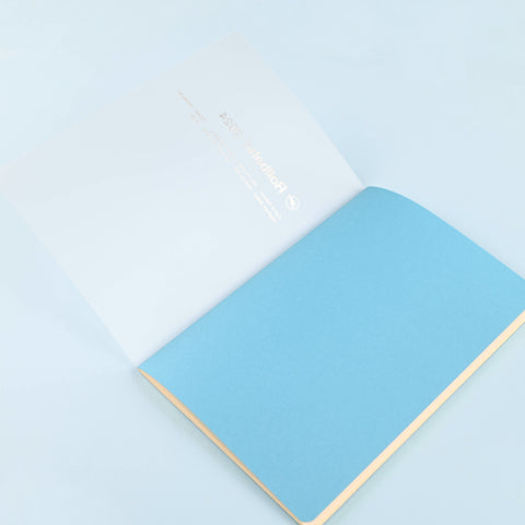 Delfonics Rollbahn 2024 Monthly Planner Note Clear A5 | Clear Pink, Clear Or Clear Blue 