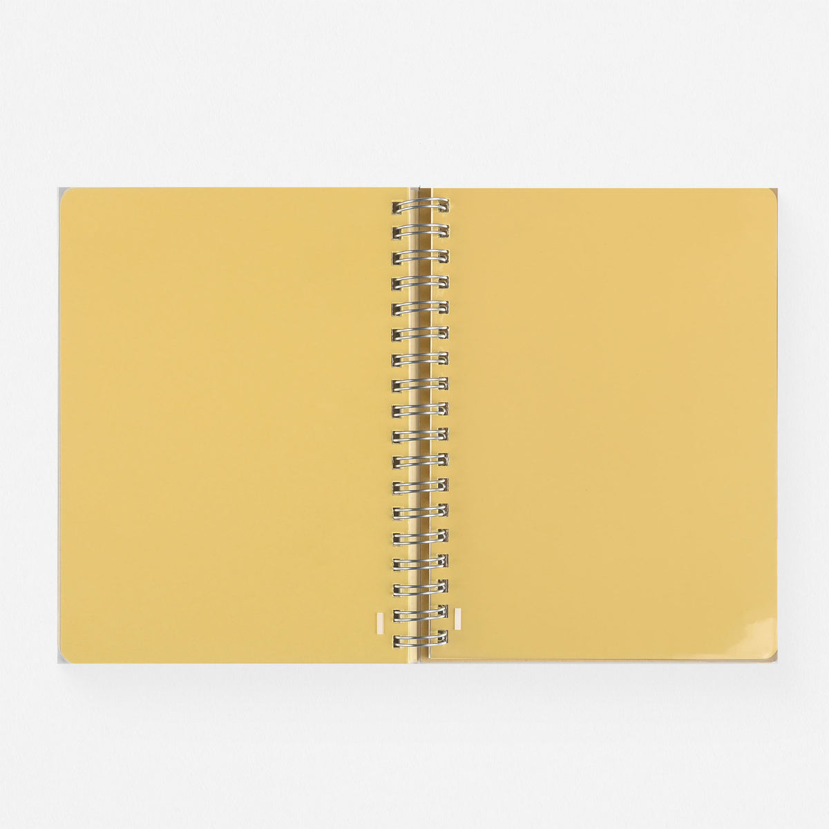 Delfonics Rollbahn 2024 Monthly Planner Leblanc Cream | Medium Or Large 