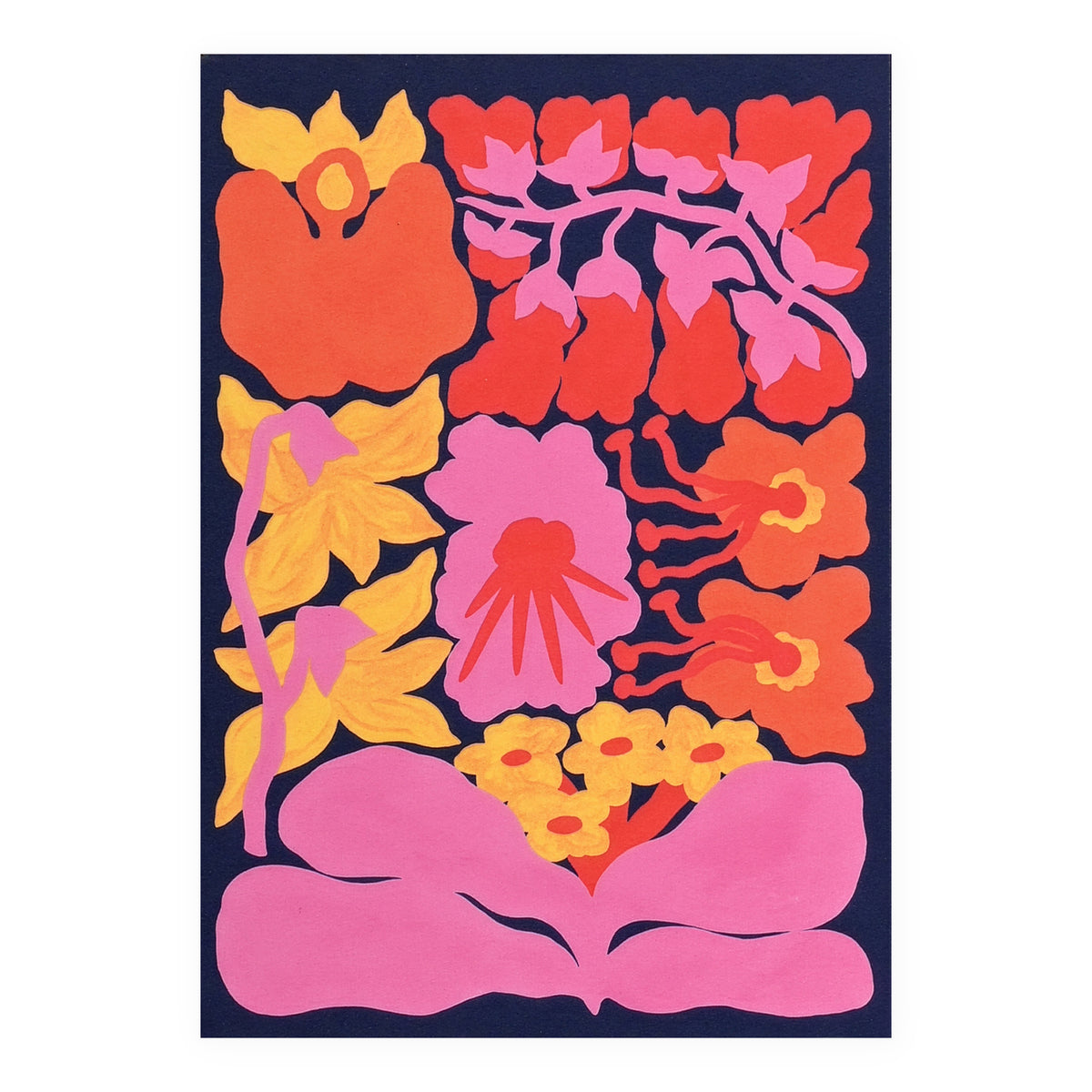 Evermade Orchids Of The Amazon Greeting Card