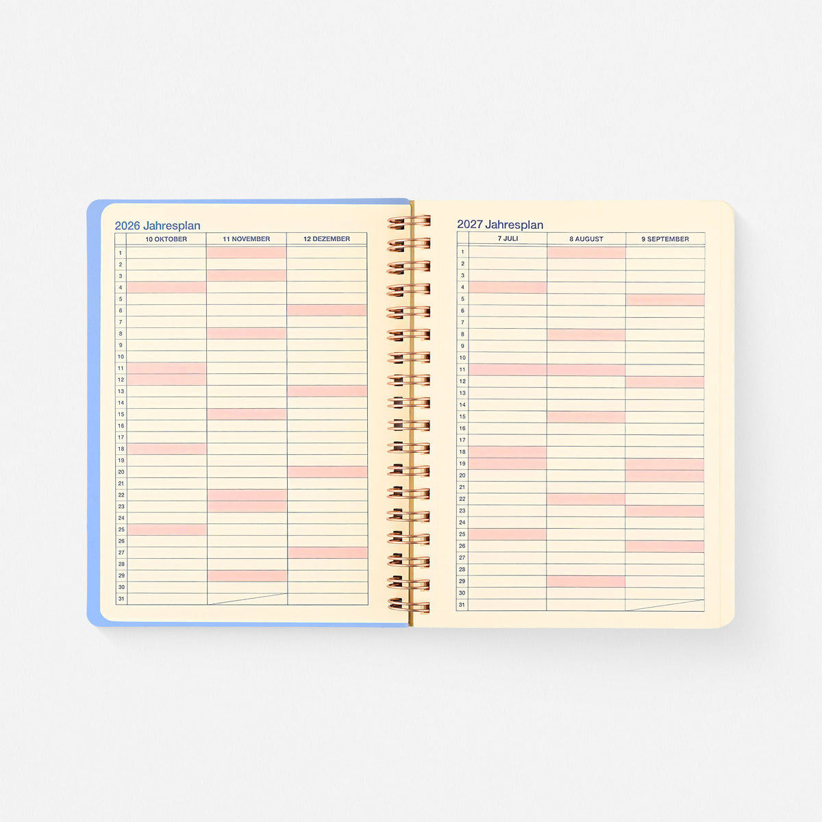 2027 Rollbahn Monthly Planner Clear Blue | 2 Sizes