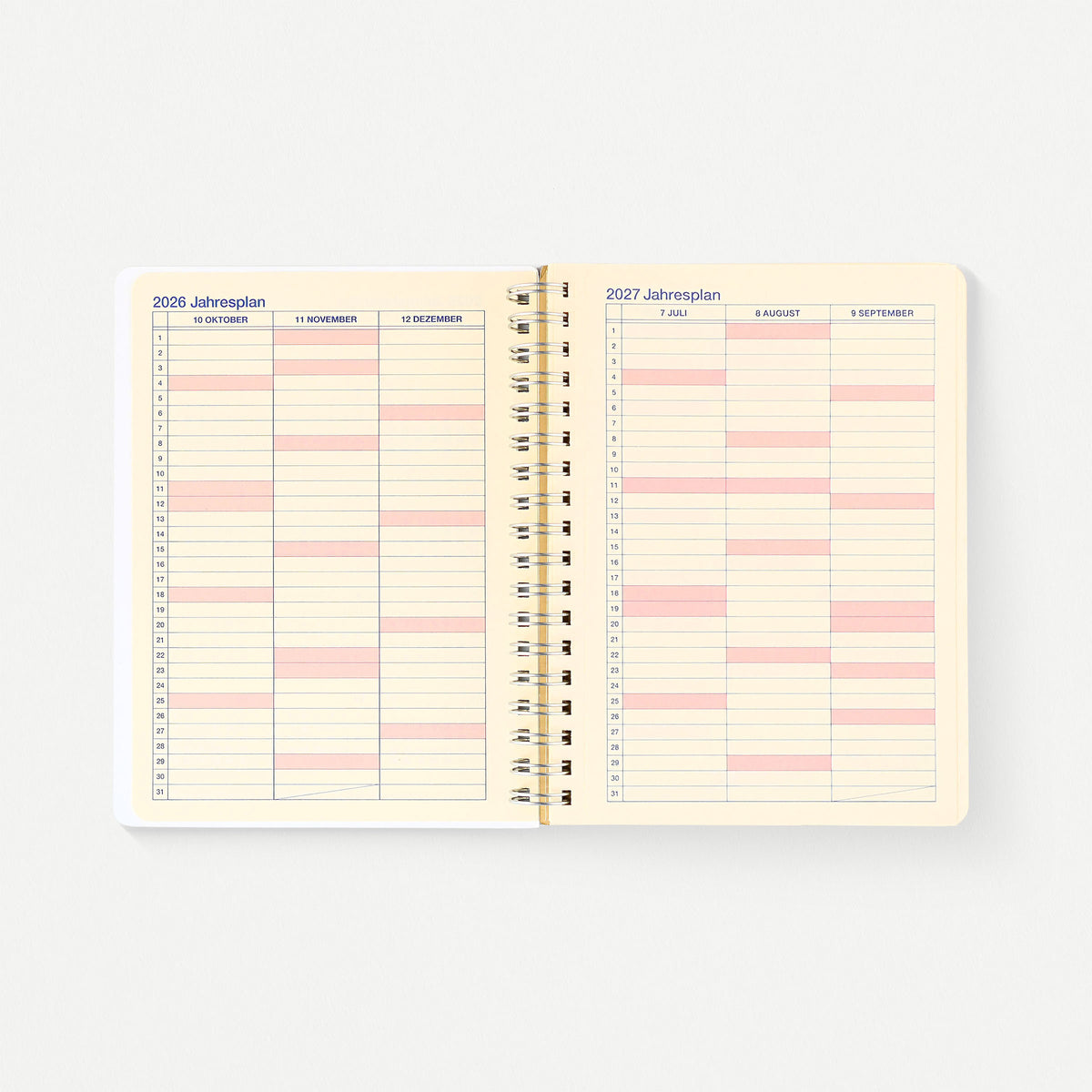 2027 Rollbahn Monthly Planner Sheer Light Blue | 3 Sizes