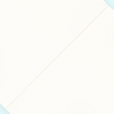 Midori MD Notebook Dot Grid A5 