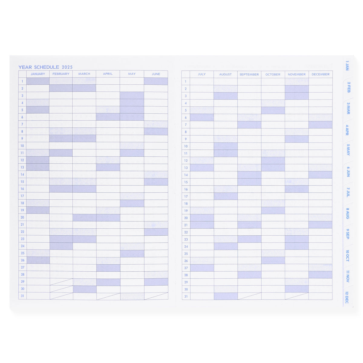 Delfonics 2025 Noemi Monthly Planner | A6 Or B6