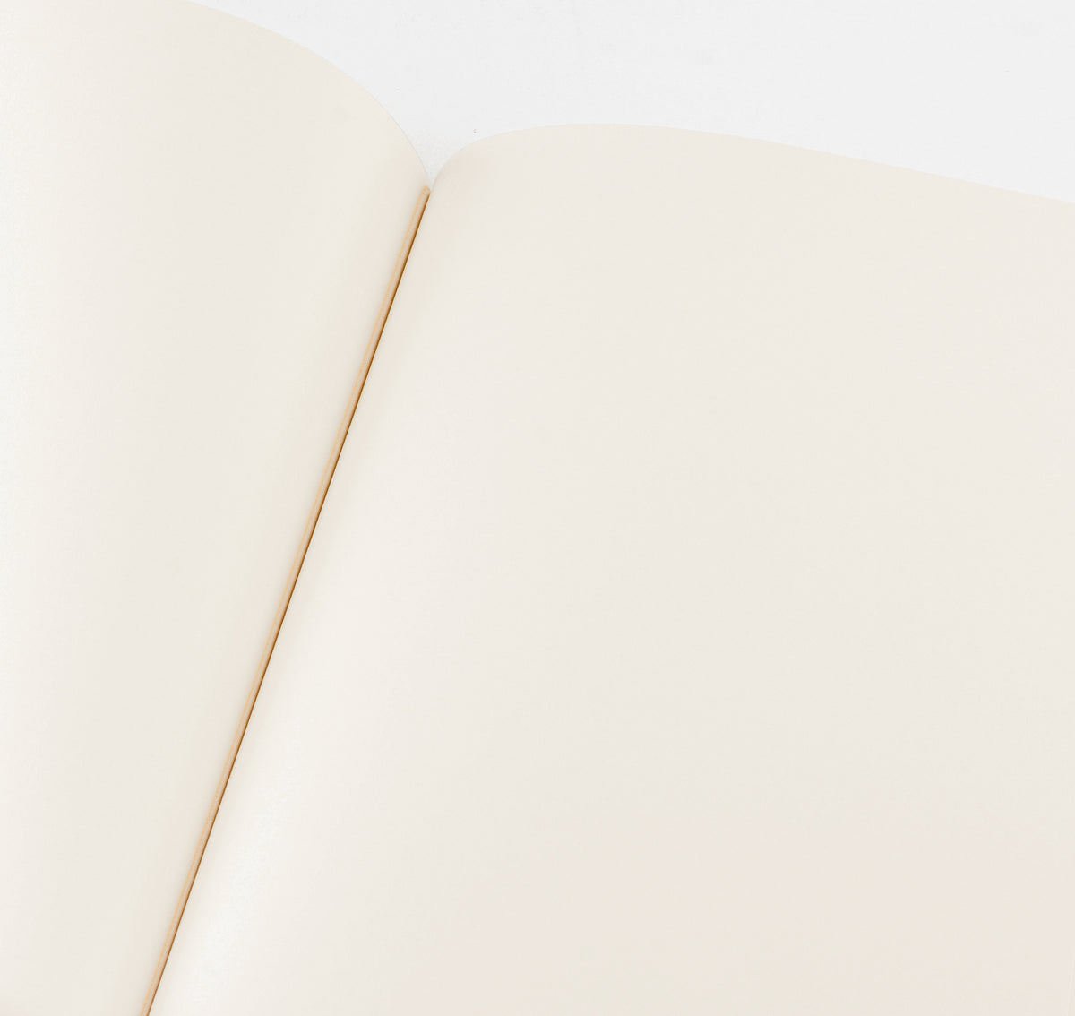 Season Paper Journal Pedro