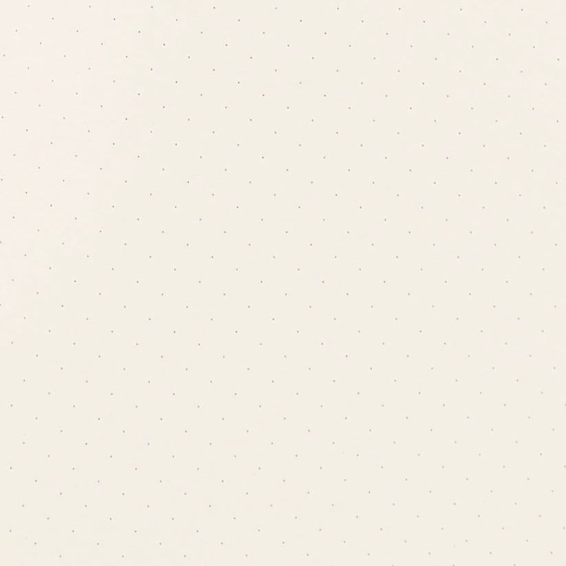 Papier Tigre Air Du Soir Notebook A5 Dot Grid 