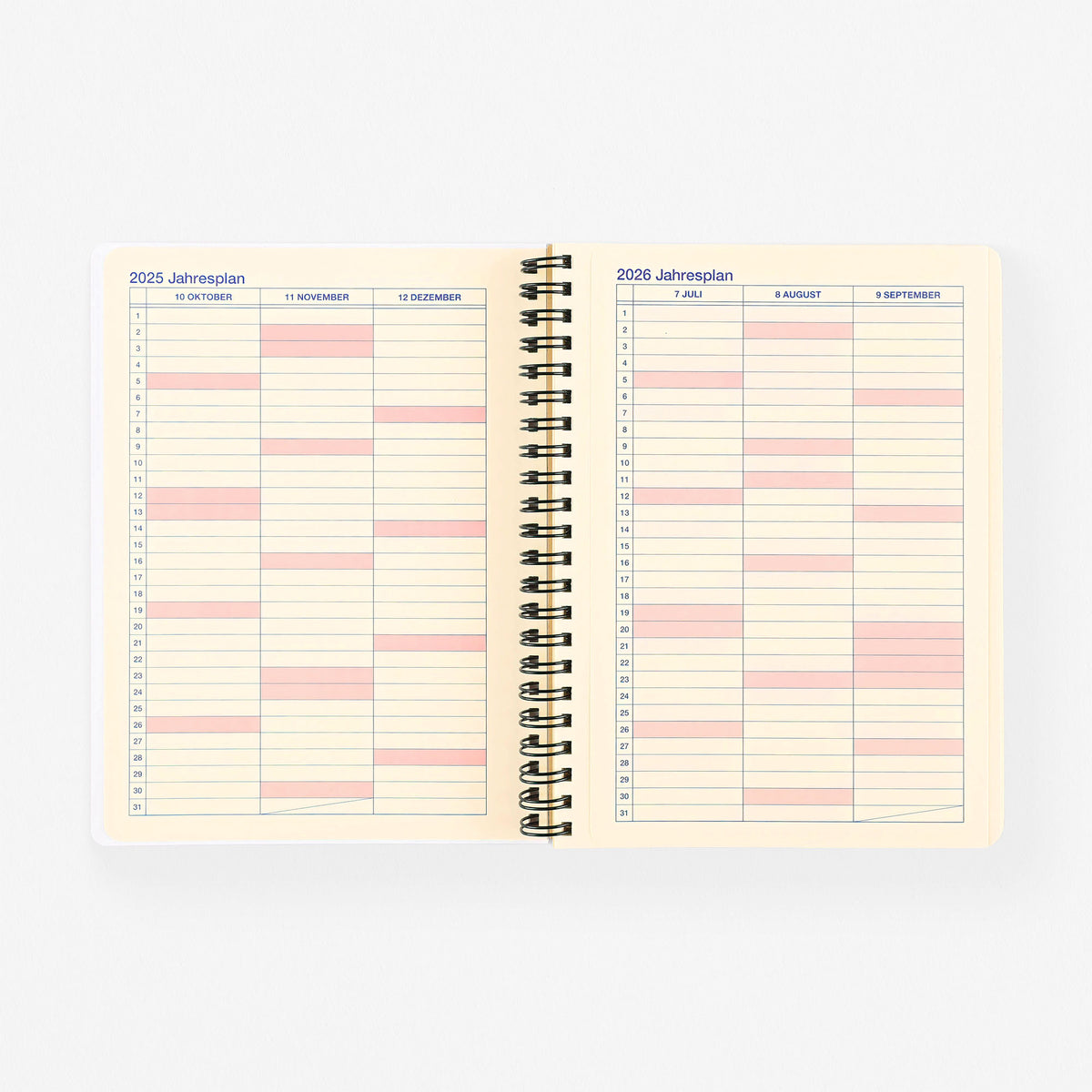 Delfonics Rollbahn 2026 Monthly Planner Flash N° 1 | Medium Or Large