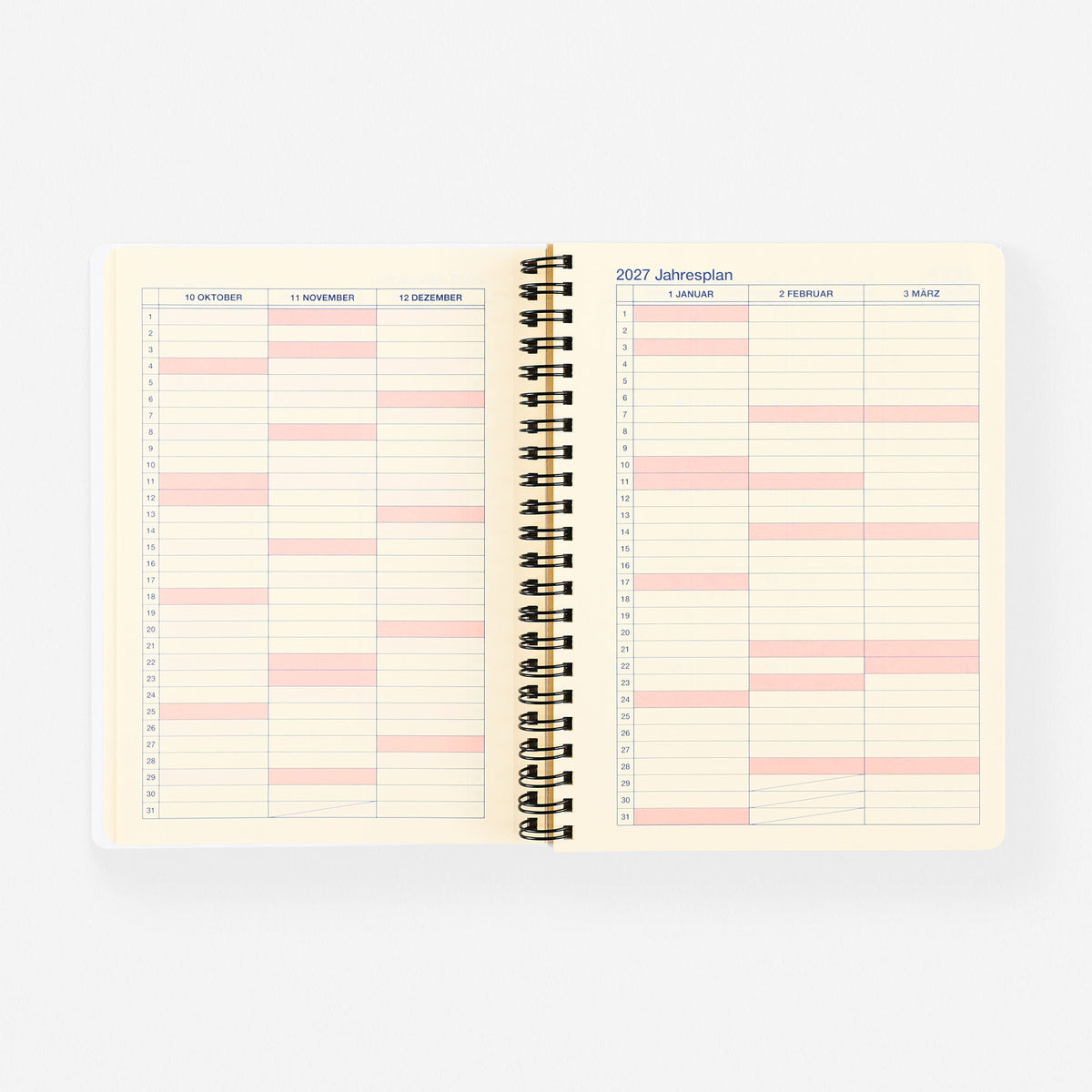 Delfonics Rollbahn 2026 Monthly Planner Flash N° 2 | Medium Or Large