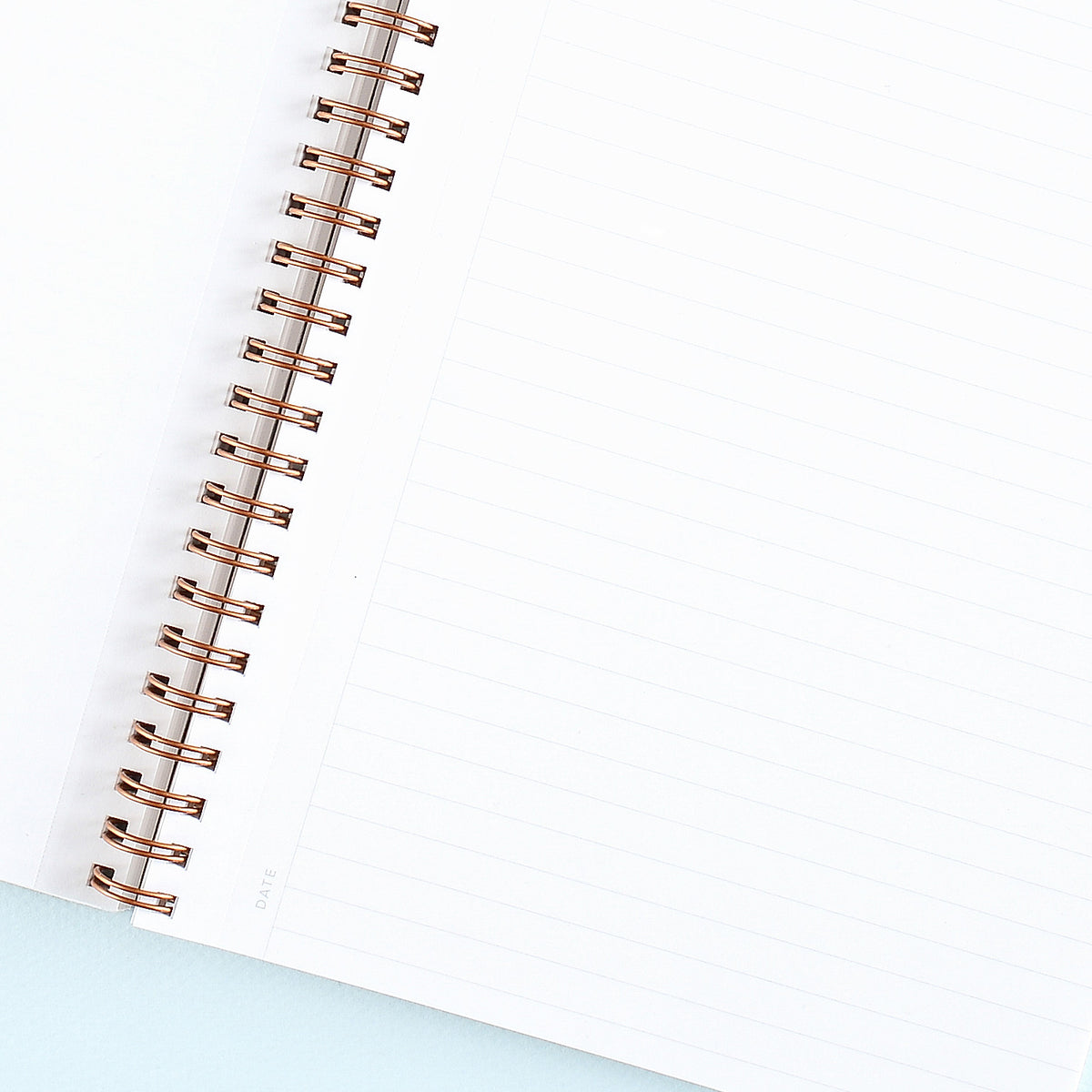 Appointed Oxford Blue Workbook | Lined or Grid 