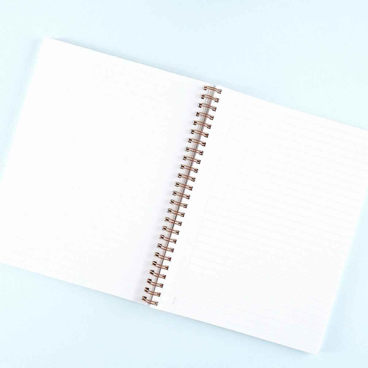 Appointed Teak Notebook Lined Limited Edition 