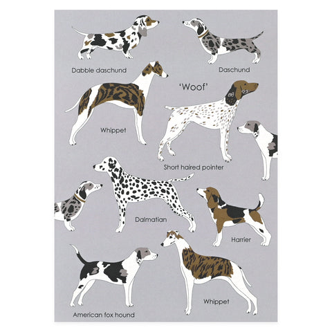Elvira van Vredenburgh Woof Greeting Card 