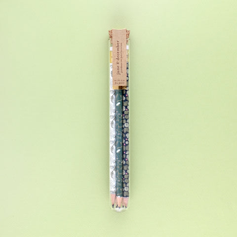 June & December Greenhouse Mix Pencil Terrarium Set Of 5 