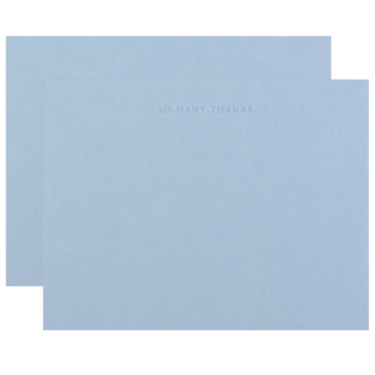 Little Well Paper Co. So Many Thanks Flat Thank You Cards Boxed 