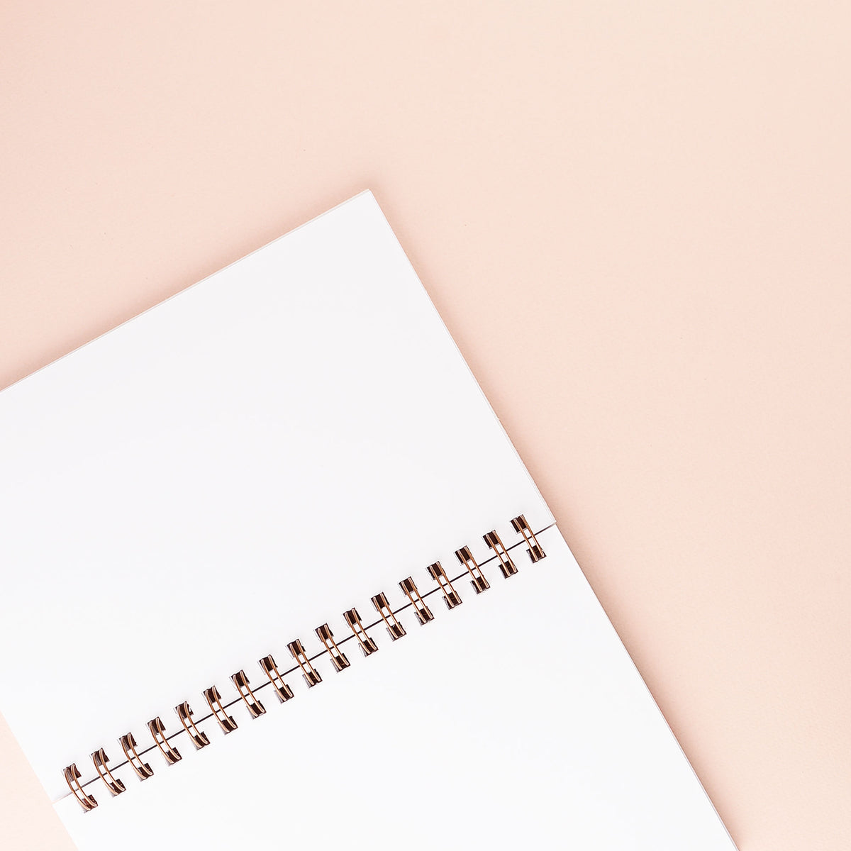 Moglea Hand-Painted Notebook Dewdrop 