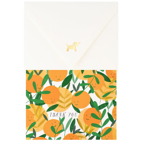 Paula & Waffle Happy Oranges Folded Thank You Cards Boxed 