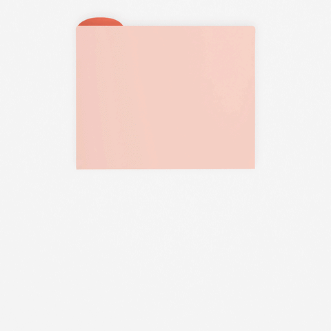 Poketo Colorblock File Folders | Set of 8 